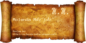 Molenda Máté névjegykártya